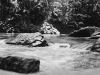 River on Film