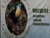 El Socoro Center for Wildlife Conservation